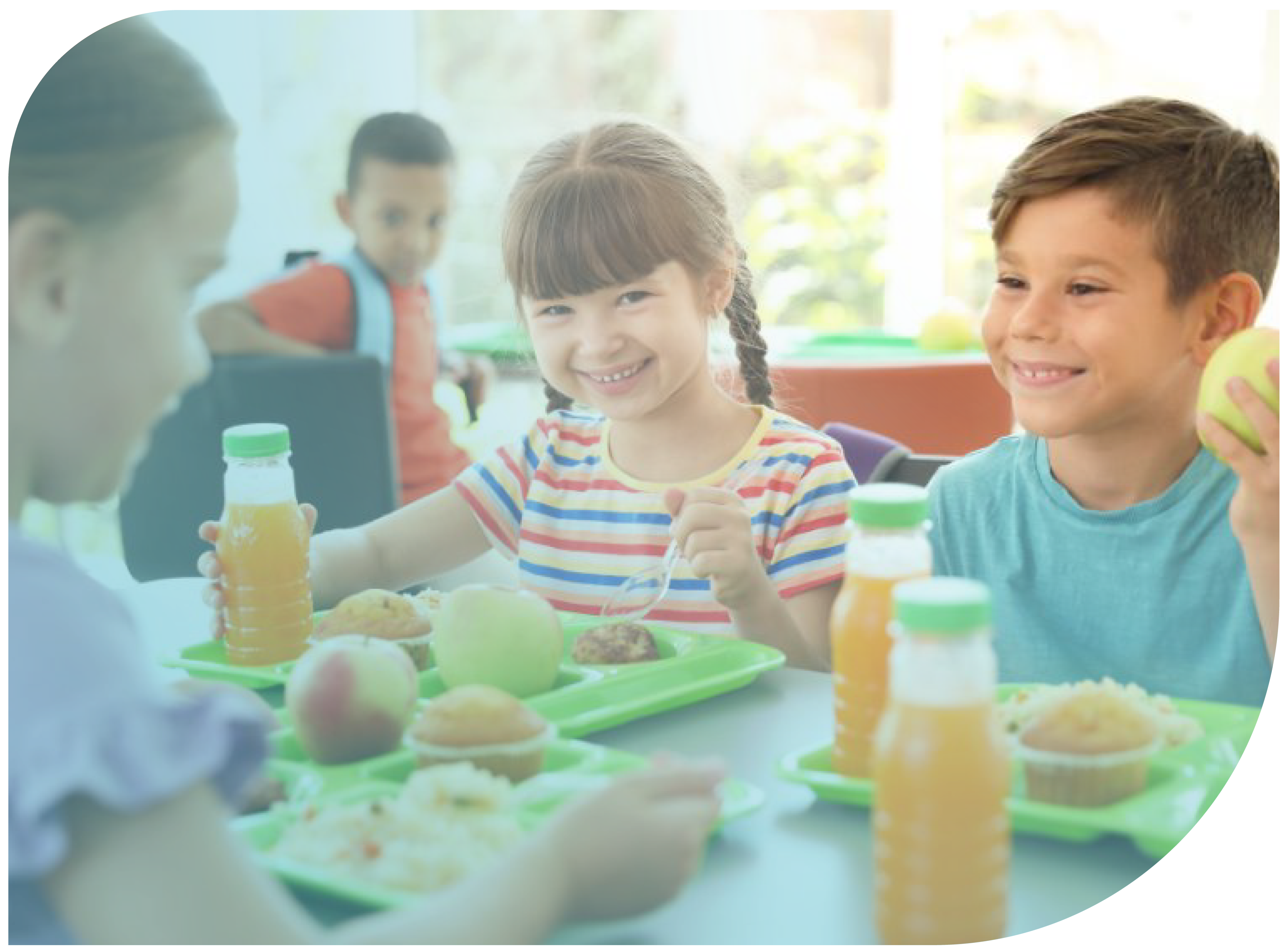 Alimentación de los niños, escolares y jóvenes
