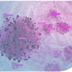 Cáncer de endometrio e inmunoterapia