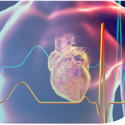 Fibrilación auricular, tratamiento con anticoagulantes y antiplaquetarios