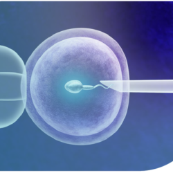 Genética en Reproducción Asistida: una herramienta práctica para el ginecólogo