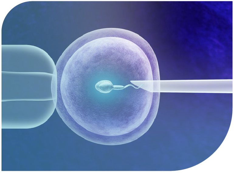 Genética en Reproducción Asistida: una herramienta práctica para el ginecólogo