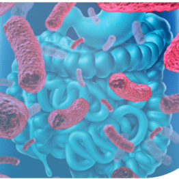 Actualización Microbiota intestinal: la frontera entre los nutrientes y la salud humana