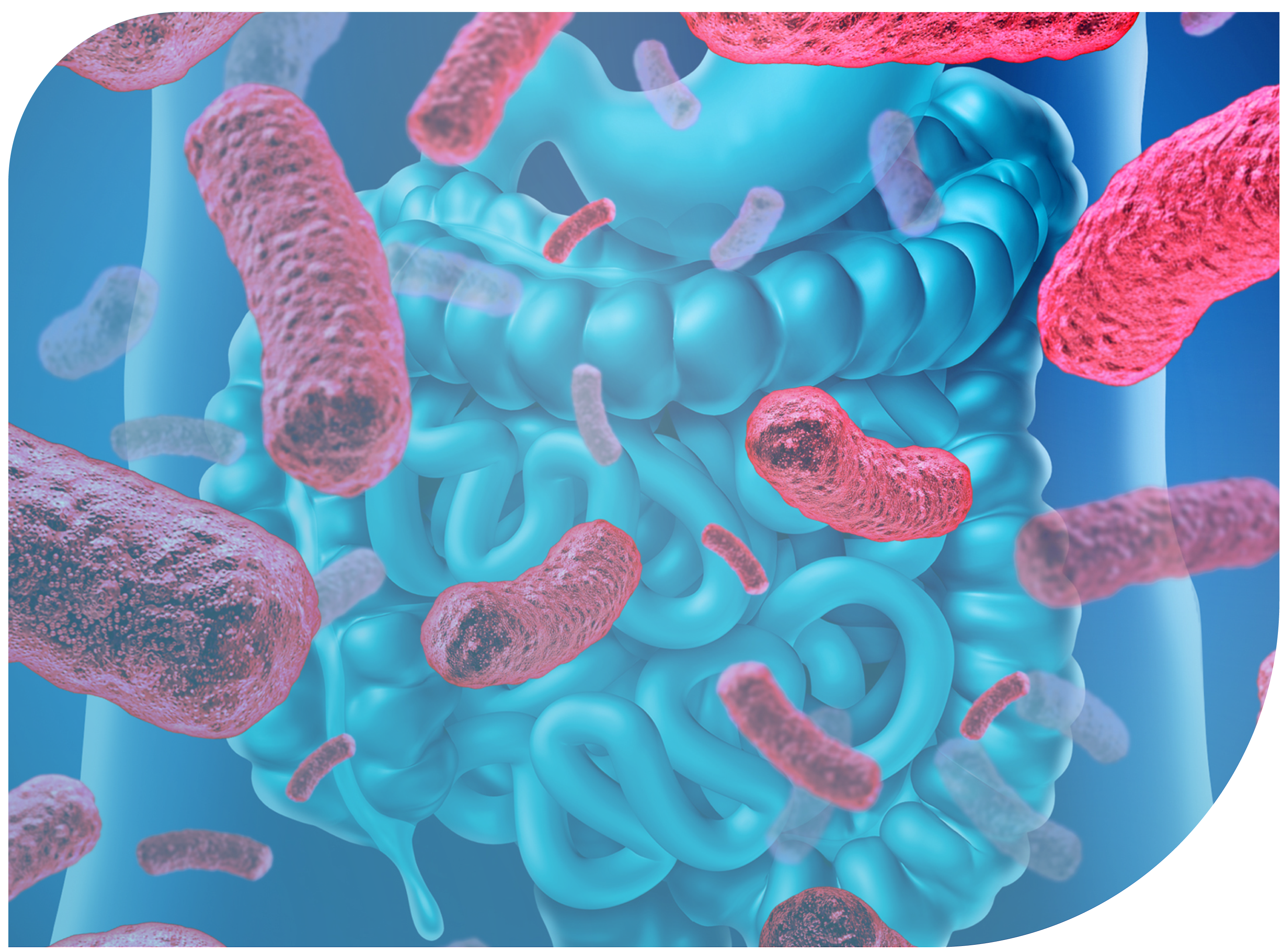 Actualización Microbiota intestinal: la frontera entre los nutrientes y la salud humana