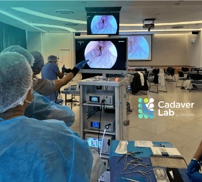 Recurso 25-8 Recurso 25-8