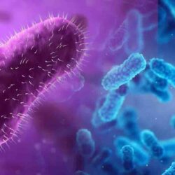 Parasitología y bacteriología